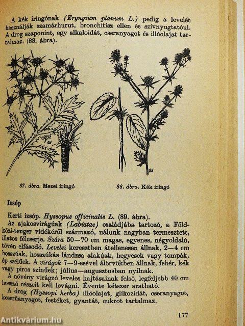 Gyógyító növények