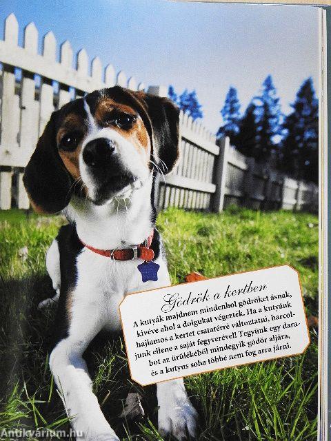 Nagymamáink fortélyai