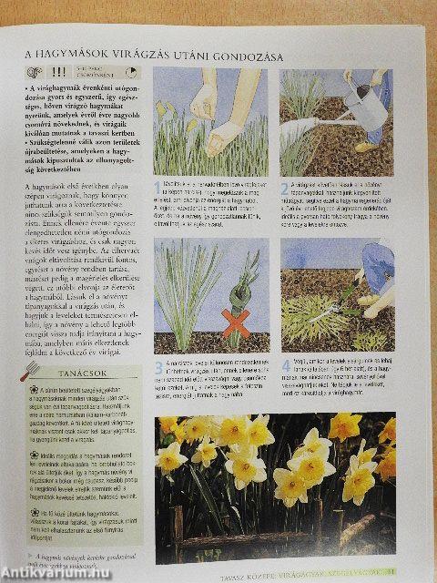 A hétvégi kertész