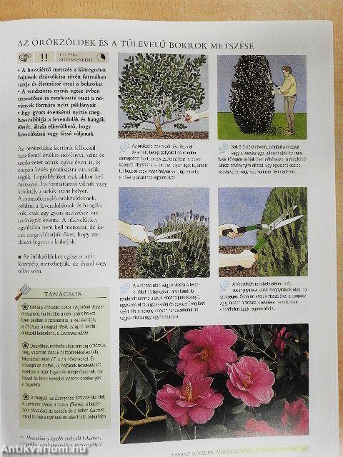 A hétvégi kertész