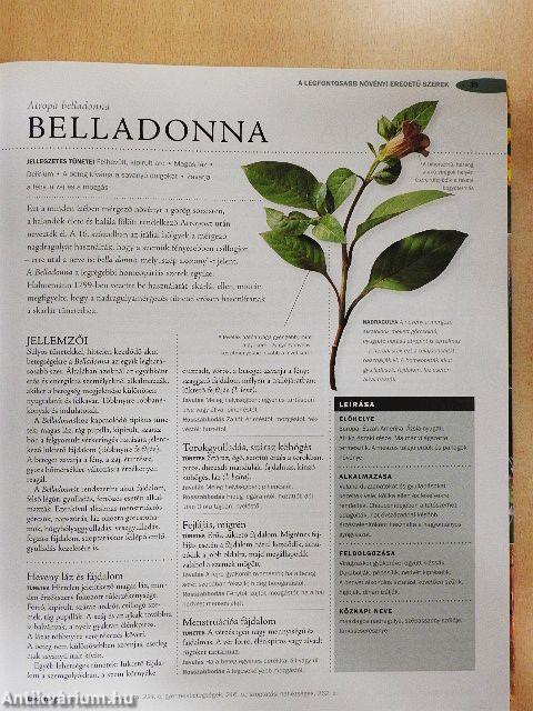 A homeopátia enciklopédiája