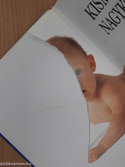 Kismamák nagykönyve