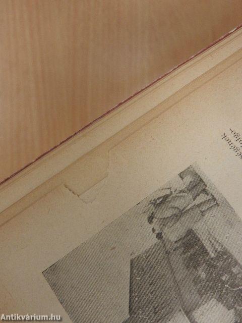 Üzemi szőlőfeldolgozás II.