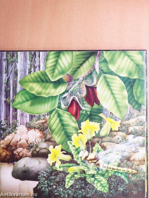 Az erdők élővilága