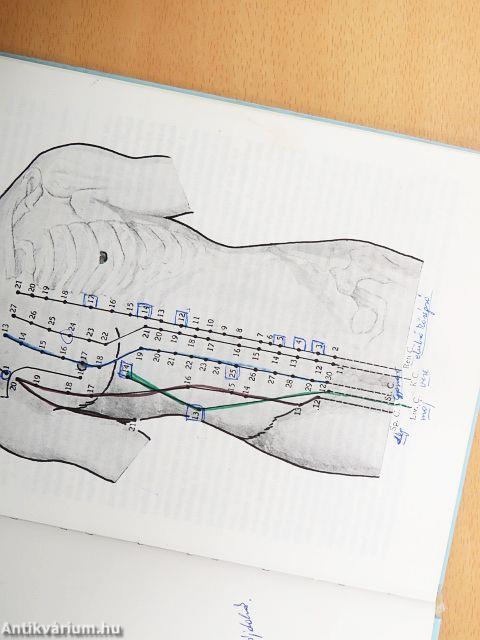 Az akupunktúra alapjai I.
