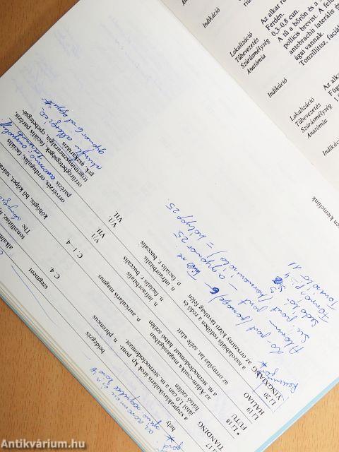 Az akupunktúra alapjai I.