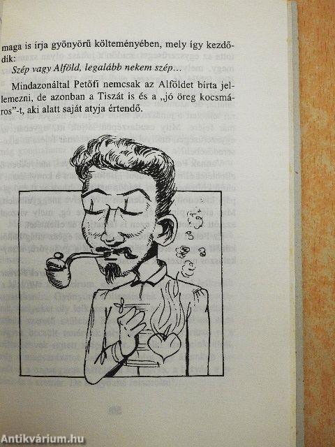 Tanár úr kérem