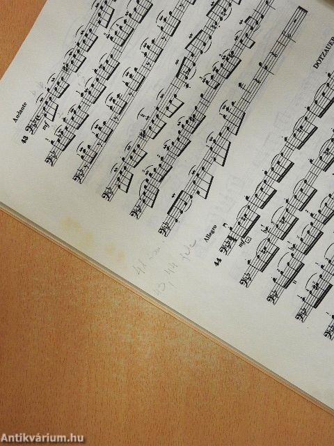 Tanulmányok gordonkára