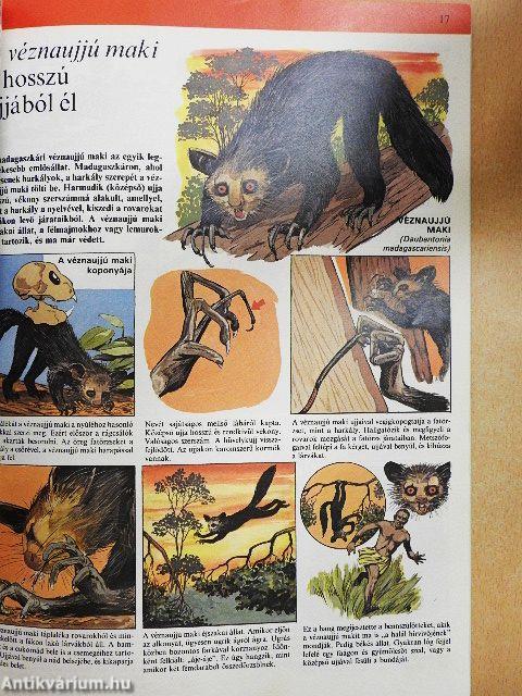 Az állatvilág képekben 1.