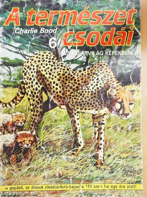 Az állatvilág képekben 6.