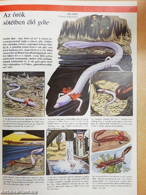 Az állatvilág képekben 6.