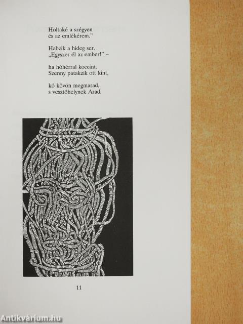 Napszél (dedikált példány)