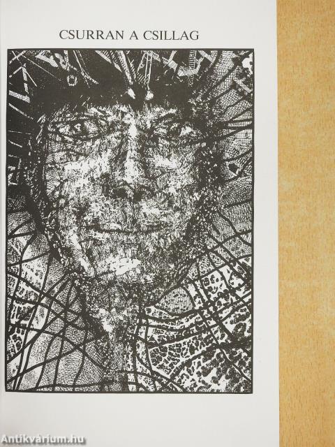 Napszél (dedikált példány)