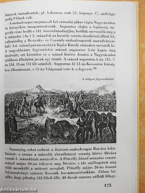 Az abrudbányai tragédia, 1849