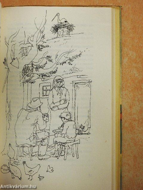 Csí és más elbeszélések