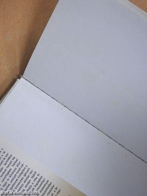 A lehorgonyzott bárka