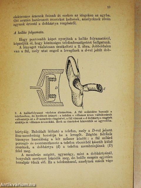 Zene és természettudomány