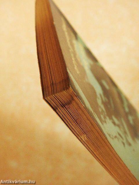 A megkerült cirkáló