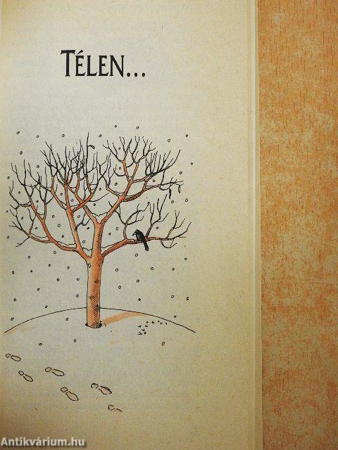 Újabb mesterfogások