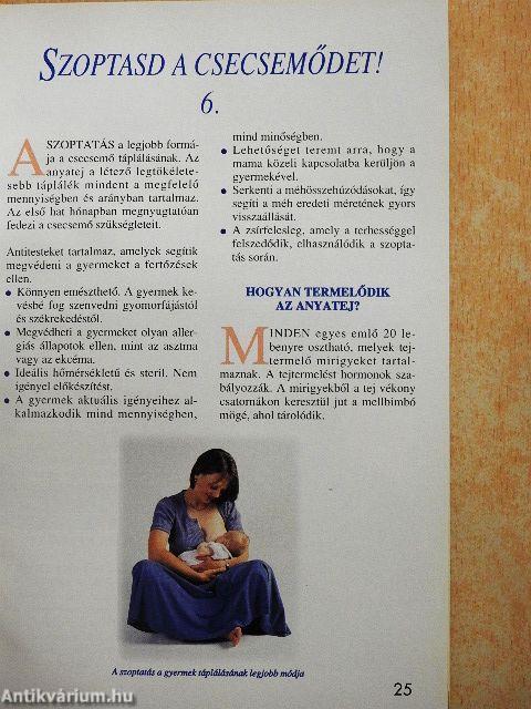 Babagondozási Könyv