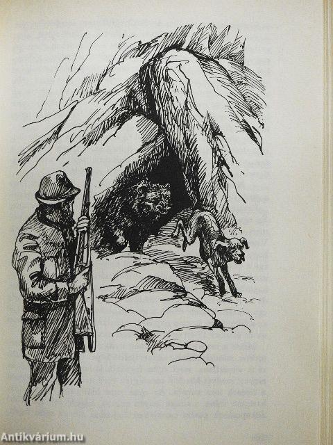 Medvék, őzek, farkasok