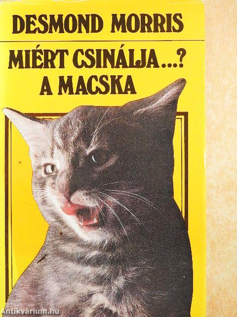 Miért csinálja...? A macska