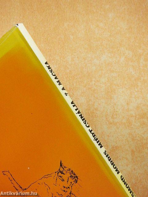 Miért csinálja...? A macska