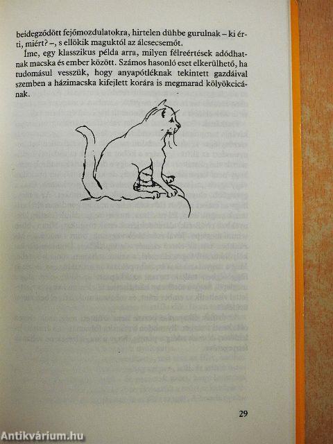 Miért csinálja...? A macska