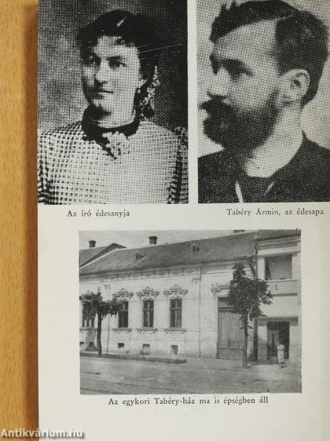 Eszmék ütközésében (dedikált példány)