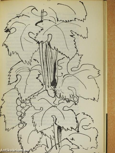 Kertem (dedikált példány)