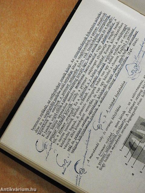 Az ember fejlődése