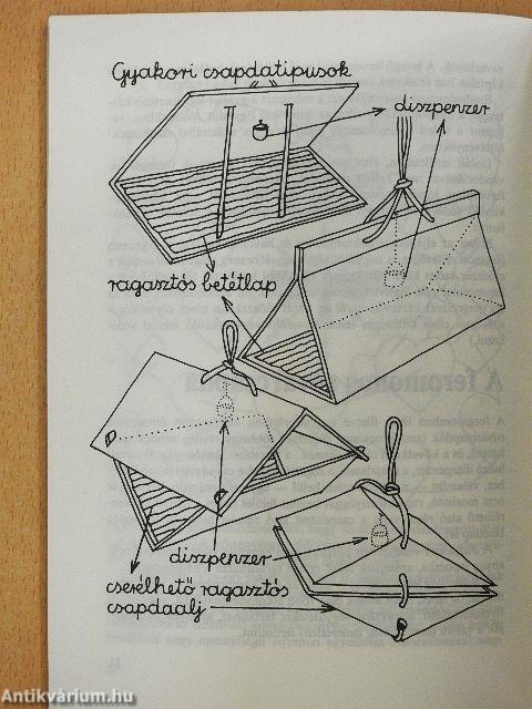 Növényvédelem feromonos rovarcsapdákkal