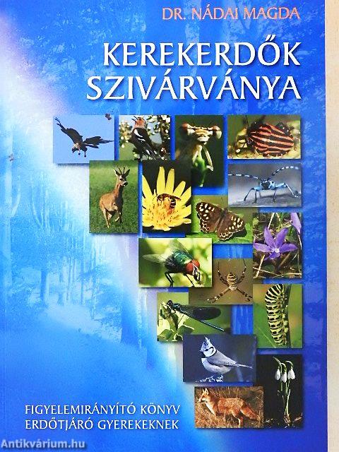 Kerekerdők szivárványa