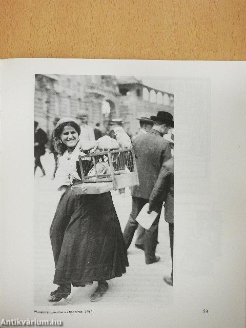 Az utca népe Pest-Budán