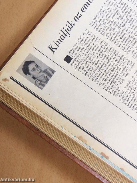 Nők Lapja 1981. január-december I-II.