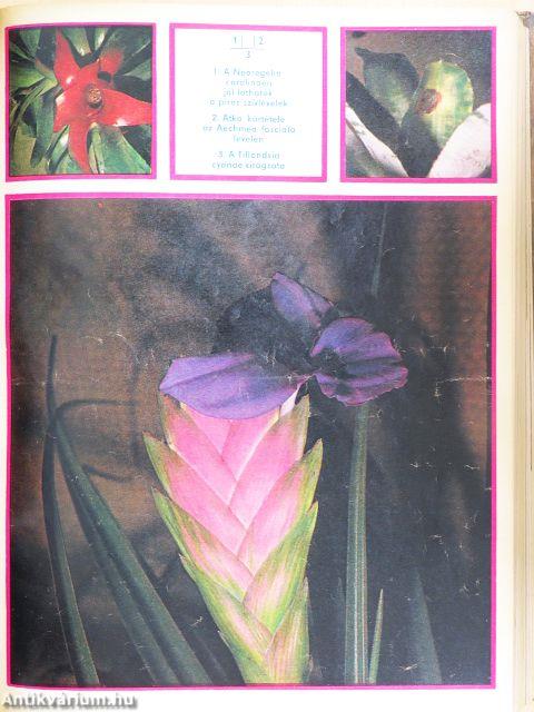 Élet és Tudomány 1977. január-december I-II.