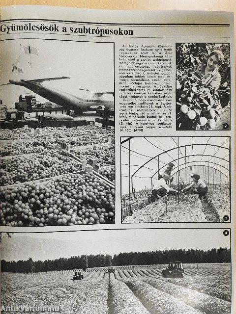 Kertészet és Szőlészet 1982. január-december