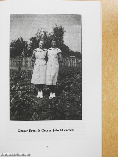 Csendes éj (dedikált példány)