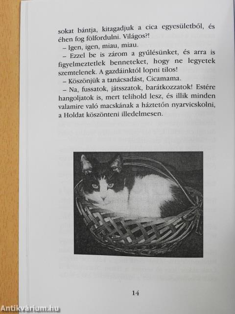 Felhőcskék (dedikált példány)