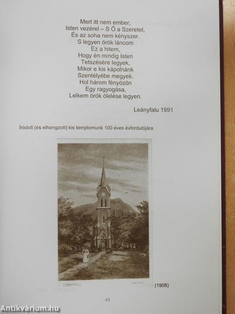 Vonzásodban (dedikált példány)