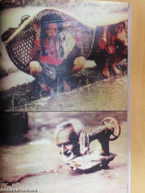 IPM 1986. (nem teljes évfolyam)