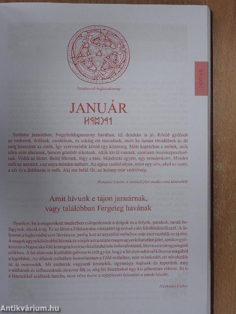 Regélő határidőnapló 2015.