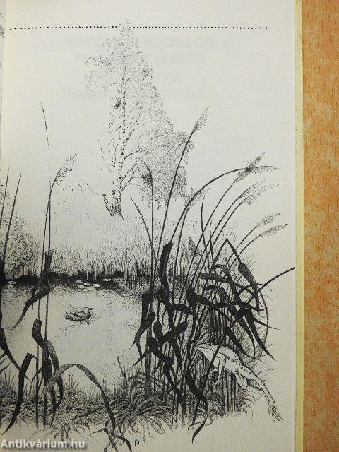 Die Ente und die Eule