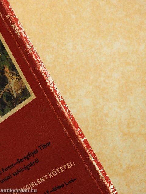 88 színes oldal az örökzöldekről és a fenyőkről