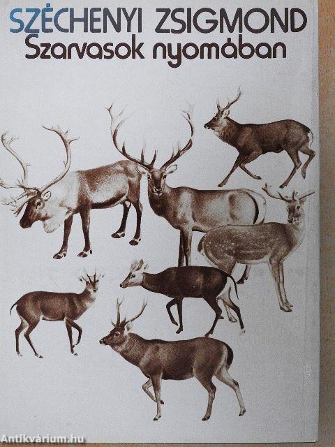Szarvasok nyomában