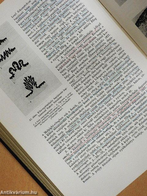 Általános kórbonctan