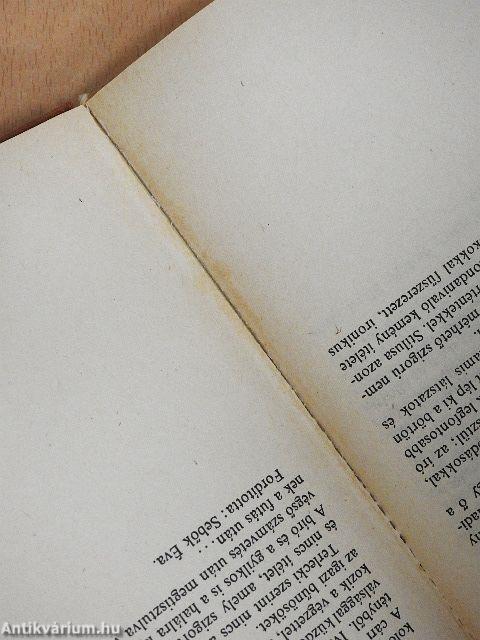 Ditte, az ember lánya I-II.