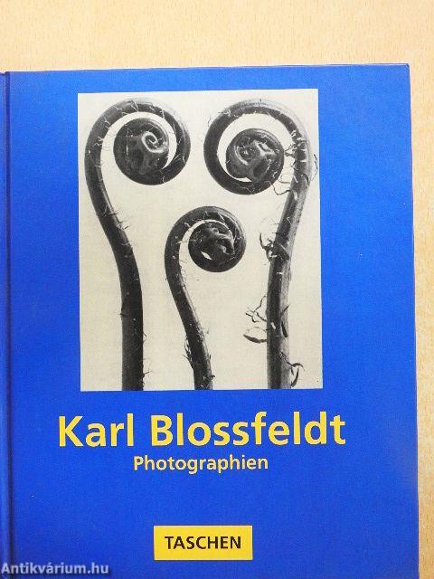 Karl Blossfeldt