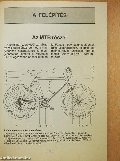 Mountain bike (dedikált példány)