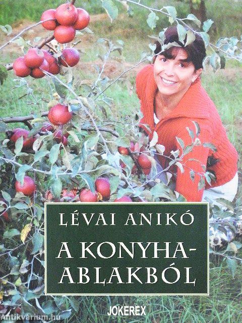 A konyhaablakból